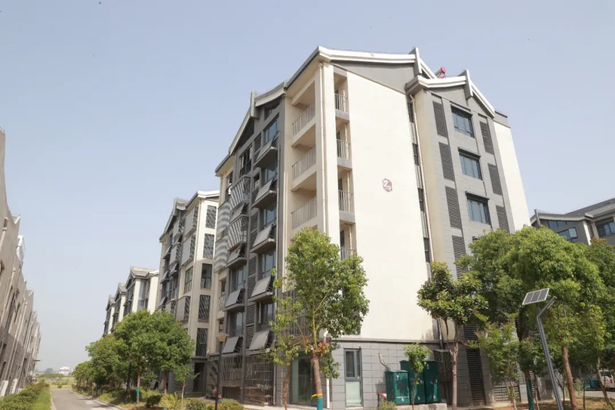 20250507孫志標現場推進西南崗片區鄉村振興項目建設3.jpg