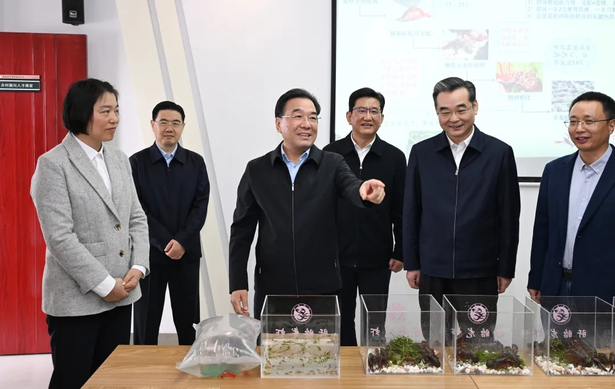 20251113信长星在盱眙泗洪调研1.jpg 20251113信长星在盱眙泗洪调研1.jpg